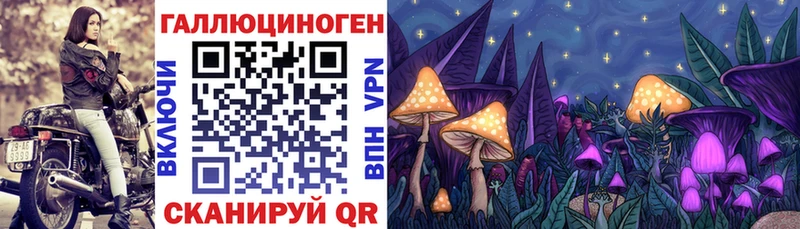 blacksprut маркетплейс Белореченск Псилоцибиновые грибы GOLDEN TEACHER
